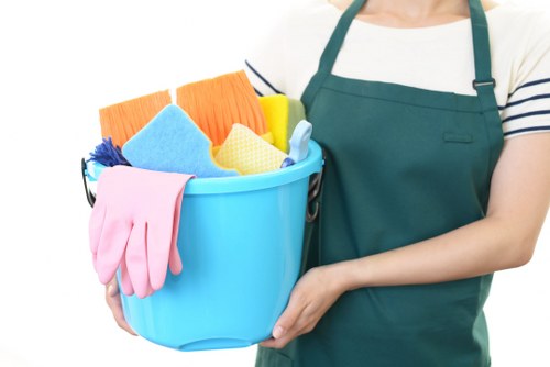Professional carpet cleaning in Lambeth living room
