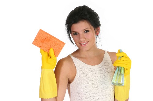 Legal terms and conditions for carpet cleaning services