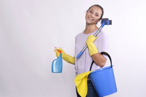 Professional carpet cleaning process completed with attention to safety